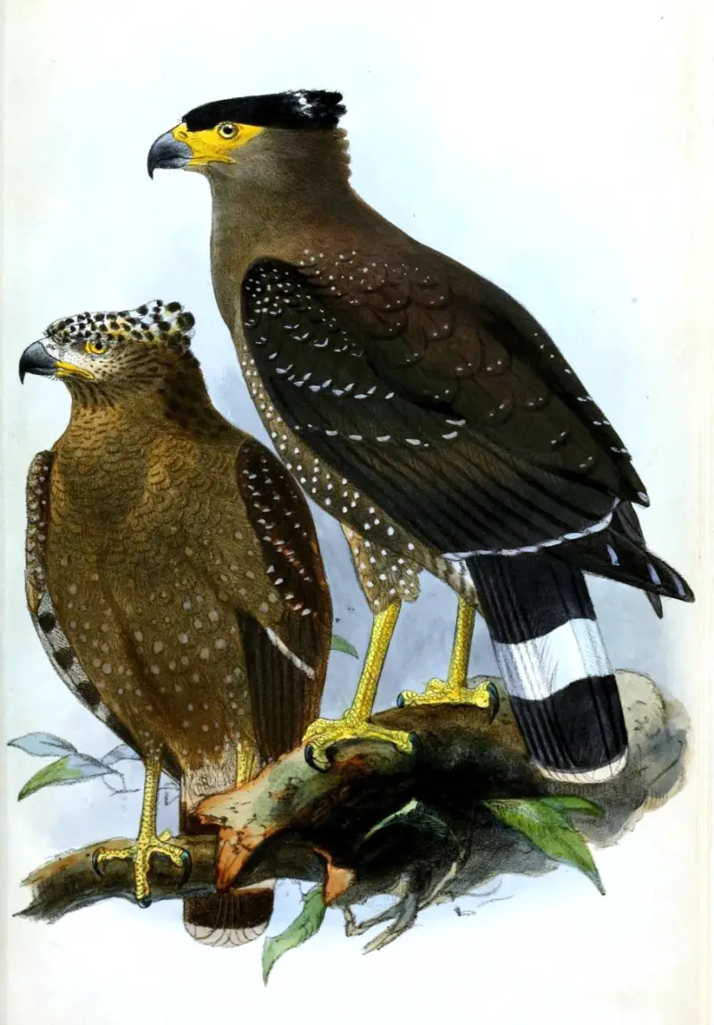 બરડા અભયારણ્ય